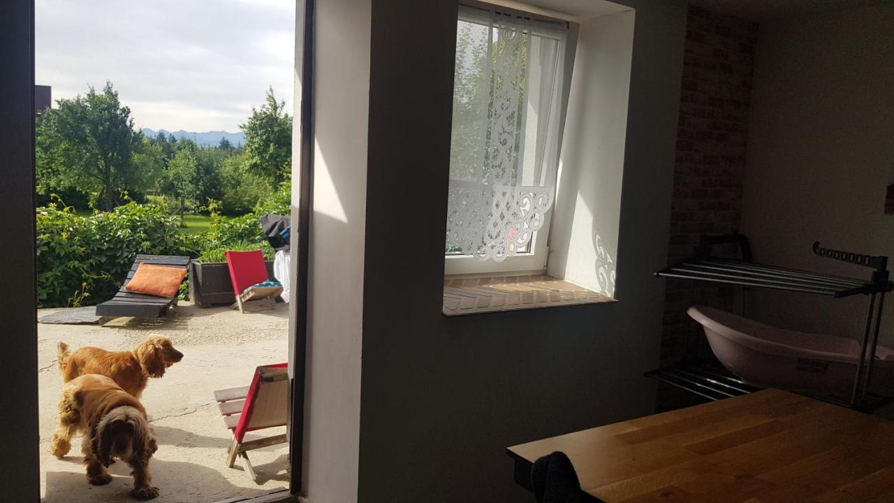 Ranczo Pod Babia Gora Apartman Lipnica Wielka Kültér fotó